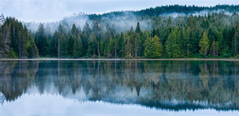 Perfect Reflection Of Misty Forest In Lake Stock Photo Image Of Blue