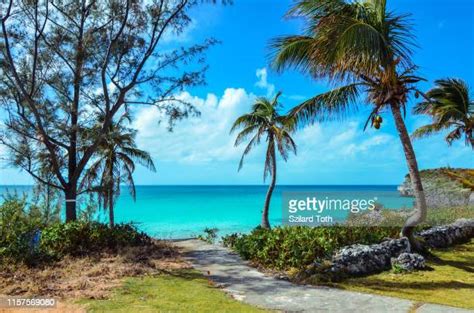 Bahamas Wallpaper Stock Fotos Und Bilder Getty Images