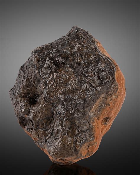 Bonhams Météorite Lunaire Spécimen Complet Lunar Meteorite Complete