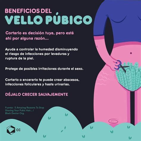 bueno Majestuoso Tradicion depilacion laser de vello pubico Certificado semáforo Agradecido