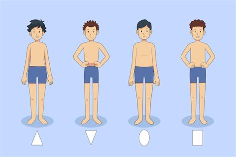 Tipos De Dibujos Animados De Formas Del Cuerpo Masculino Vector Gratis
