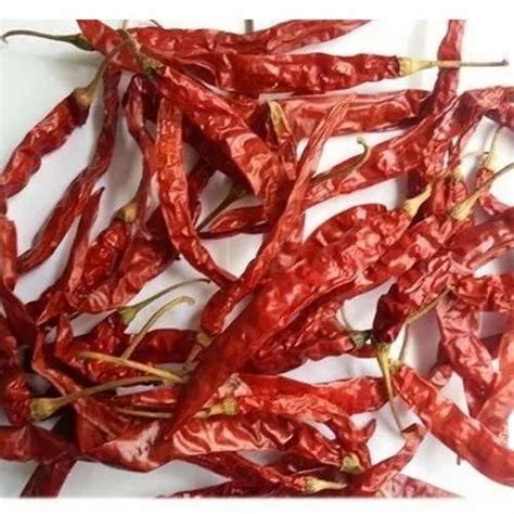 With Stem Ramsiva Traders 273 Dry Red Chilli At Rs 90kilogram In