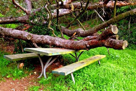 Picnics in parks are one of the last frontiers of tradition. The Haunted Picnic Table #29 at Griffith Park