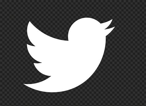 Hd White Twitter Bird Logo Icon Png Citypng