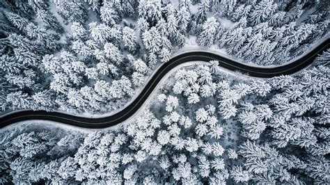 Winter Forest Wallpaper Trees Snow Road Through The Forest Aerial