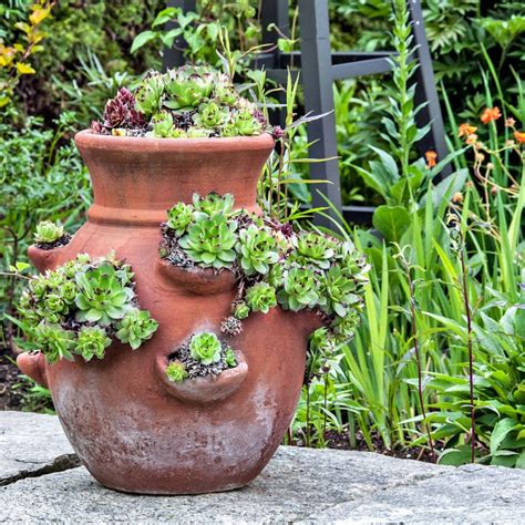 Top 10 Large Terracotta Pots With Side Holes