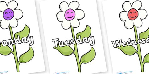 Free Days Of The Week On Flowers Teacher Made Twinkl