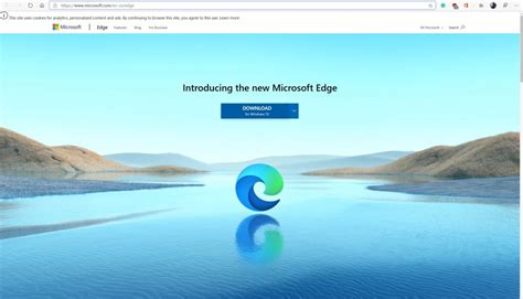 Internet Explorer Microsoft Edge Plecats