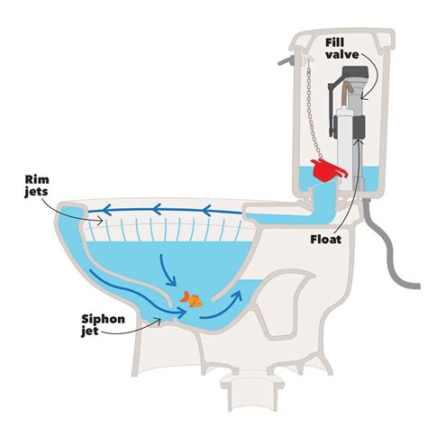How A Toilet Works Toilet Repair Toilet Fill Valve