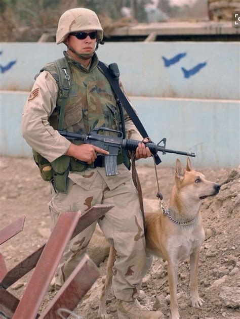 Pin By S Mah On Animals K9 Heroes Military Dogs Military Working