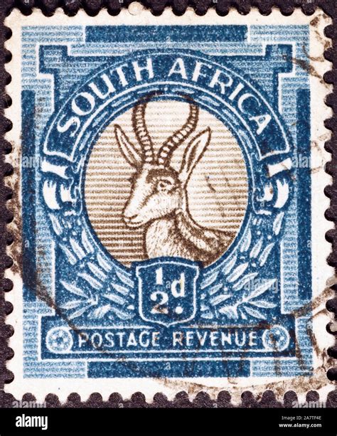 Springbok On Vintage South African Postage Stamp Stock Photo Alamy