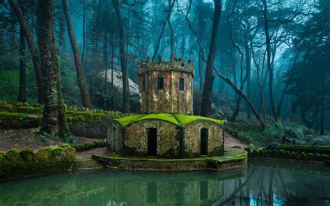 Luxuriant Forest Nature Tour Sintra Portugal