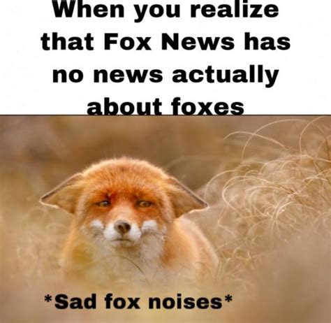 Thats What The Fox Says Memes
