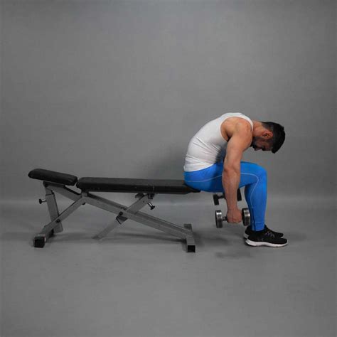 Dumbbell Seated Rear Lateral Raise Fit Drills Website