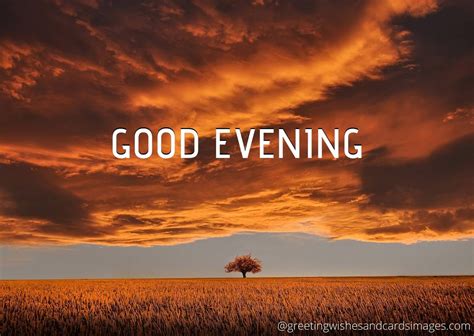 Share these wonderful good evening messages with your friends via facebook, twitter, whatsapp or any other social networking website. Good Evening Images 2020 - Greeting Wishes And Cards Images