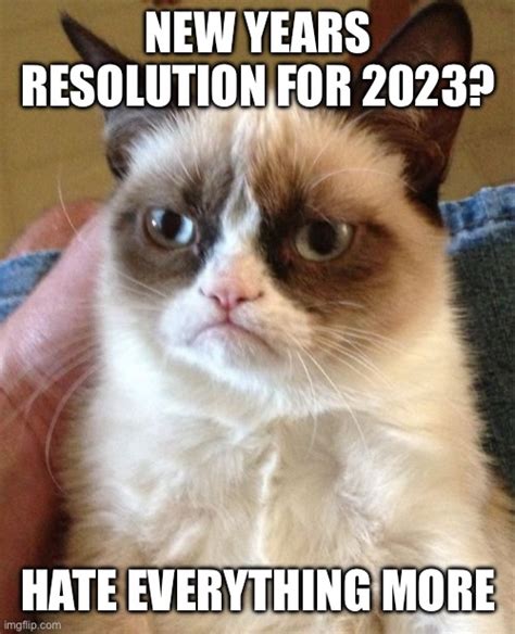 Funny New Years Resolution Memes For Lola Lambchops