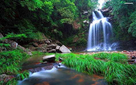 Free Photo Exotic Waterfall Scape Parks Peace Free Download Jooinn