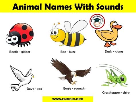 List Of Animal Sounds From A To Z Pdf And Infographics Engdic
