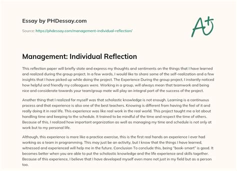 Management Individual Reflection Reflective Essay Sample 300 Words