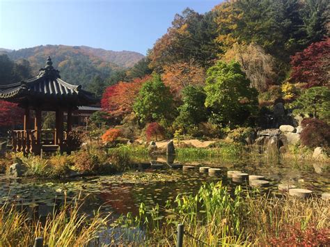 The Garden Of Morning Calm 아침고요수목원 Gyeonggi Do South Korea Travel