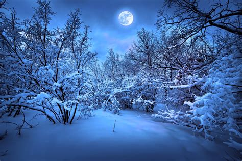 Good Night Winter Images Hd Enjoy And Share Your Favorite Beautiful