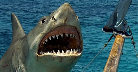 Check spelling or type a new query. Signal Bleed: Shark Week 4: 'Jaws: The Revenge' (1987)