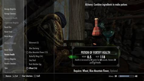Fortify Alchemy Skyrim Potion