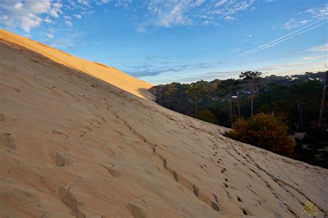 Loggen 17 nov - Dune du Pilat - Wildlifephotographer.se | Leif Bength
