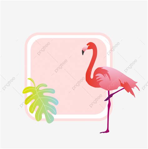 Flamingo Flamingo Border Frame Border Decoration