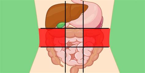 6 Belly Map Can Tell The Reason For Stomach Pain