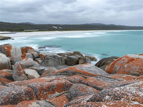 Bay Of Fires 4 Day Photography Workshop Tour Discover Tasmania