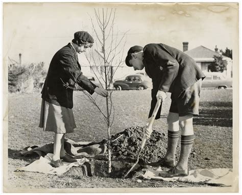 Hillmorton High School Students Planting A Tree Discoverywallnz