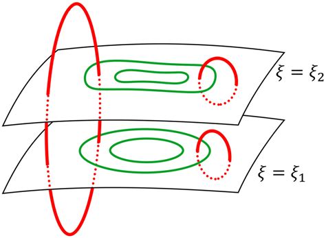 The Toroidal Field Surfaces In The Standard Poloidal Toroidal