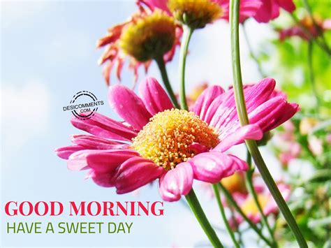 Try one of the messages or quotes to try writing a message that is sweet and loving and that speaks to the connection you share with your loved one. Good Morning - Have A Sweet Day - DesiComments.com