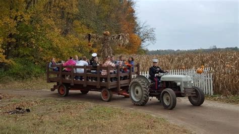 10 Wagon Rides In Illinois That Are Relaxing And Scenic