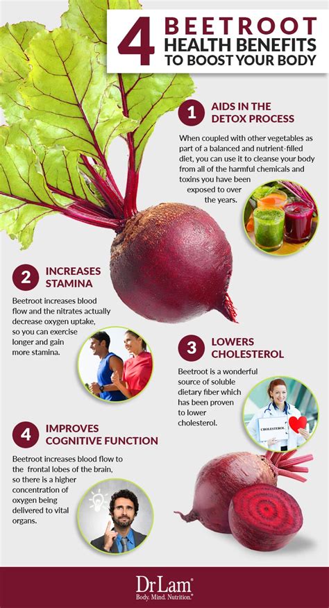 Beetroot Health Benefits Stock Illustration Download Image Now Benefits