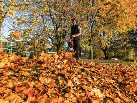 Depending on the age and condition of the leaf blower, it can be a number of issues. 8 Innovative Ways to Use a Leaf Blower | Honda Engine Room