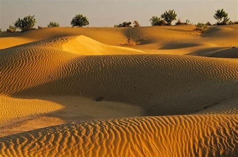 How To Visit Great Thar Desert