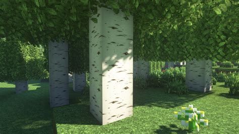 Napp V5 Not Another Photorealistic Pack Free Download Mcpe Minecraft