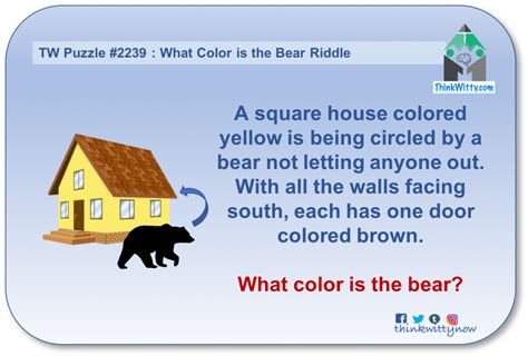 What Color Is The Bear Riddle Colorsb