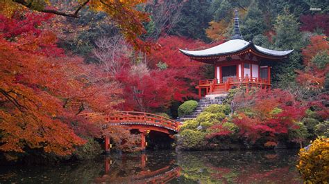 تعرف على مدينة كيوتو أهم المدن السياحية في اليابان يلا بوك