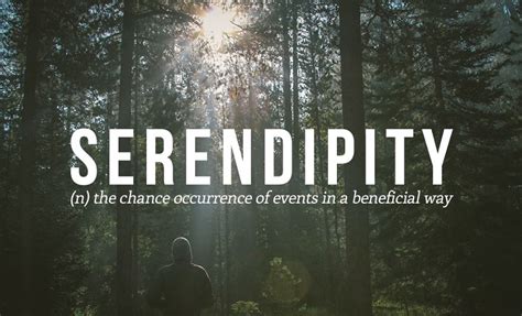 33 Beautiful Words That You Need To Know Bored Panda