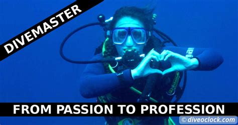 Padi Course Directors Perspective From Divemaster To Instructor
