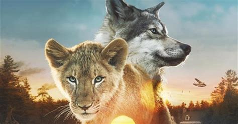 Le Loup Et Le Lion Film Bande Annonce - Le Loup et le lion (2021), un film de Gilles de Maistre | Premiere.fr