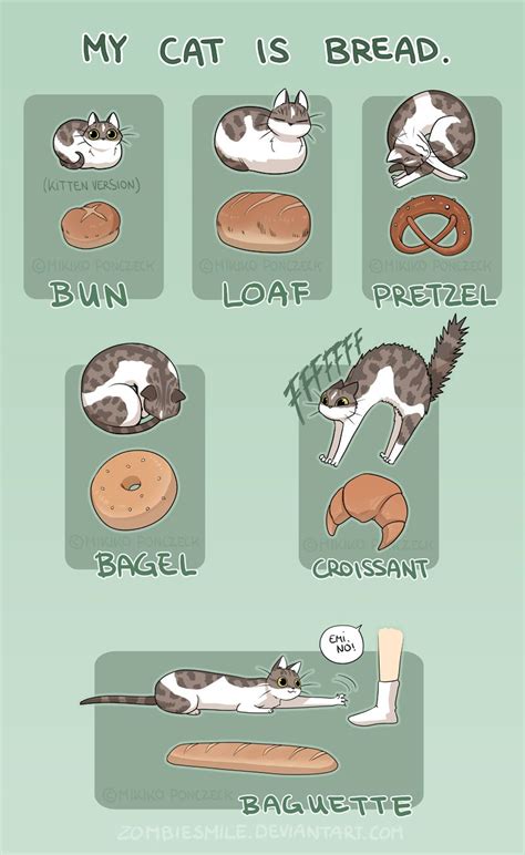 Cat Bread By Zombiesmile On Deviantart Funny Animal Jokes Funny Cat