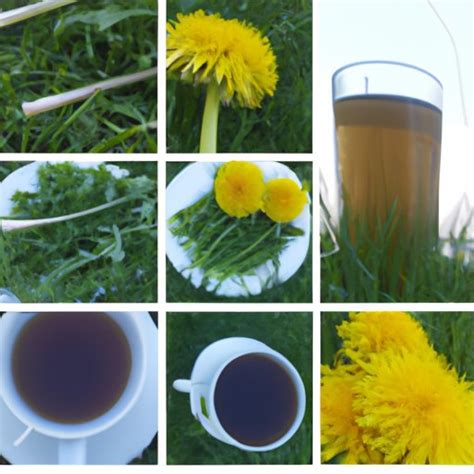 How To Eat Dandelion Salads Tea Coffee Baked Goods And Smoothies