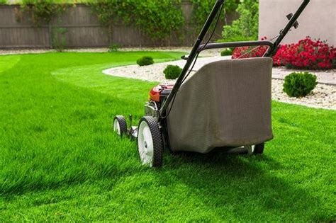 What Essential Lawn Care Tools Should Every Homeowner Have Conners
