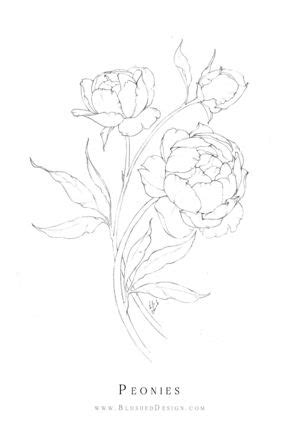 Inktober Flower Drawings 2019 Katrina Crouch Blushed Design