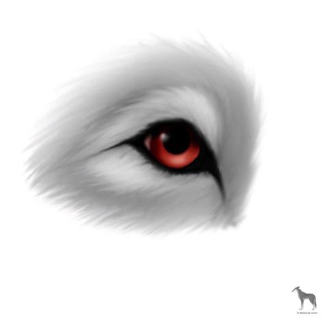 Wolfs Eye By Nataliedecorsair On Deviantart