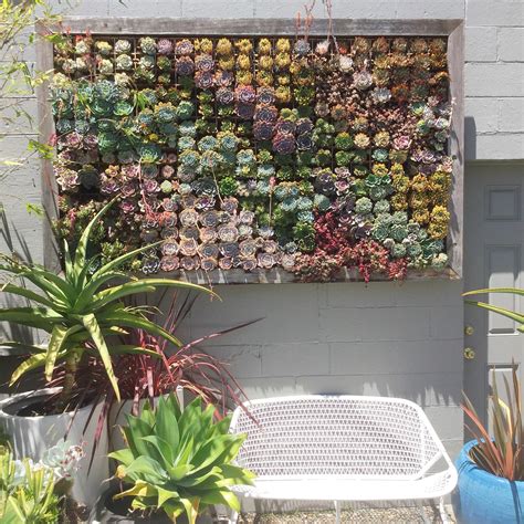 Once you have the succulents glued into the frame, fill in the extra space with pebbles. Giant Succulent Wall! : succulents